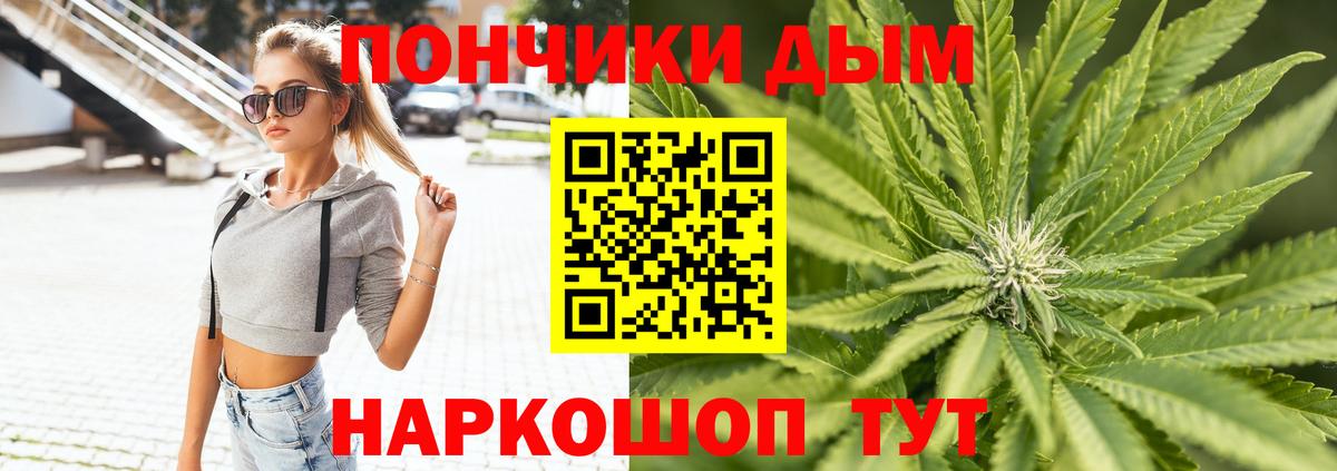 Бошки марихуана план  Бошки марихуана SATIVA & INDICA  Юрга  Вход с VPN  Канабис Ganja  Шишки марихуана OG Kush 
